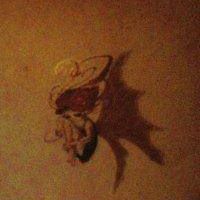 Daniel Franks Photo 36 Daniel Franks Photo 36