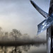 Dawn Keller Photo 30