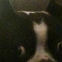 Sarah Caldwell Photo 15