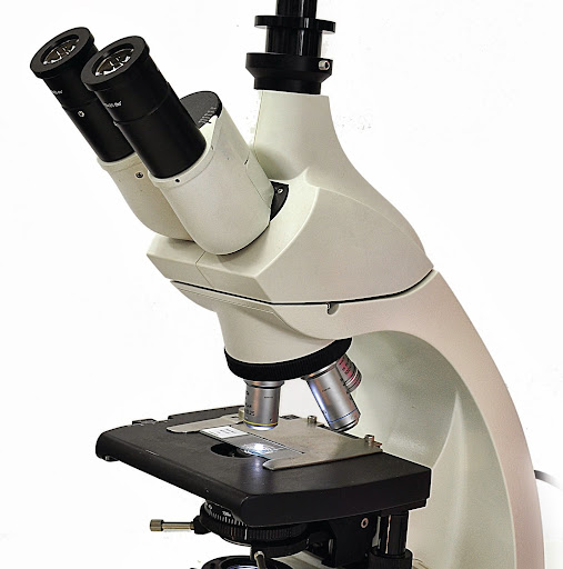 Jenny Maxwell Photo 34