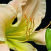 Linda Small Photo 39