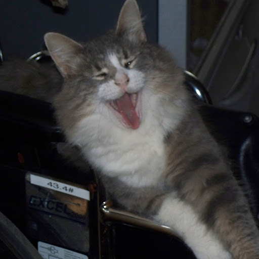 Matthew Bowling Photo 3