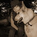Sarah Shepard Photo 44