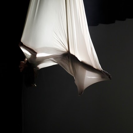 Stacey Carlson Photo 28