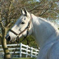 Kathleen Paul Photo 35