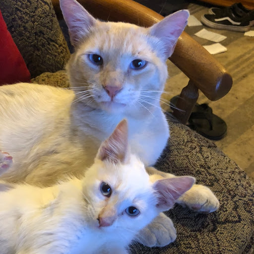 John Hulbert Photo 42