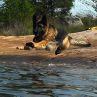 Mark Millman Photo 25