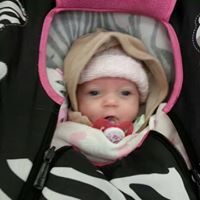 Josh Belcher Photo 11