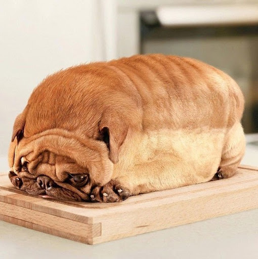 Kirstin Cook Photo 4