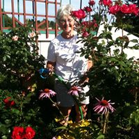 Carol Swift Photo 16