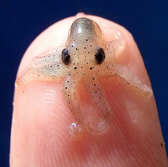 Sarah Wooldridge Photo 15