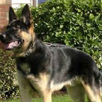 Rick Clinton Photo 12