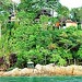 Kai Chang Photo 19