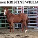 Kristine Williams Photo 30