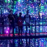 Dana Nicholas Photo 27