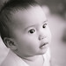 Frank Pittman Photo 9