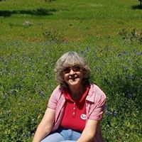 Nancy Carley Photo 14