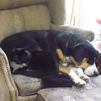 Kathleen Winters Photo 23