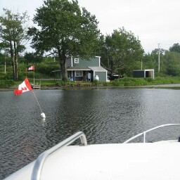 Cindy Tobin Photo 7