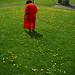 John Downs Photo 18