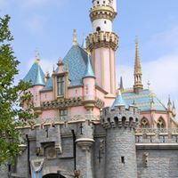 Anne Dawson Photo 10 Anne Dawson Photo 10