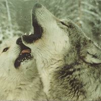 Sharon Anders Photo 12