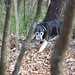 Otis Woods Photo 11