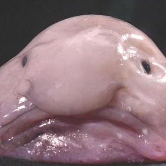 Andrew Carter Photo 23