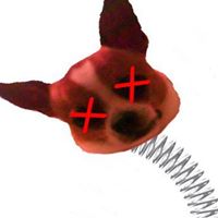 Wayne Shepherd Photo 11