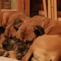 Ellen Moran Photo 16