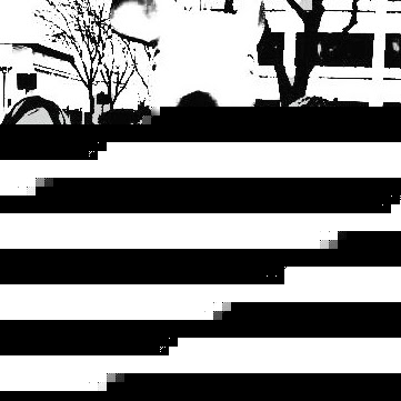 Shelly Murphy Photo 39