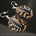 Jay Peacock Photo 19