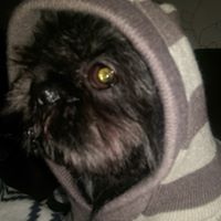 Kathy Franke Photo 12