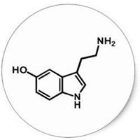 Keith Lehman Photo 34