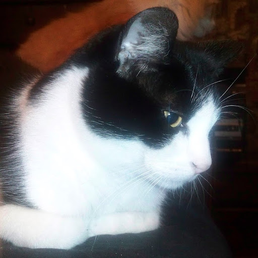 Susan Forster Photo 8