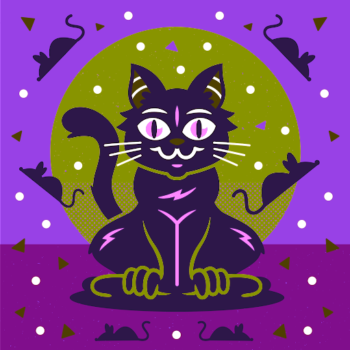 Connor Atkinson Photo 22