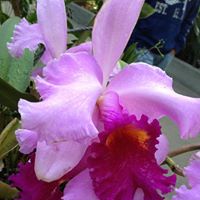 Catherine Wernet Photo 2