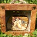 Carol Owen Photo 34