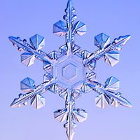 Nancy Stebbins Photo 16