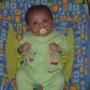 Susan Horton Photo 5