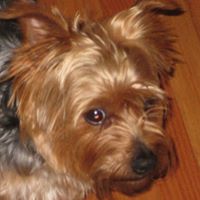 Jacqueline Moss Photo 5