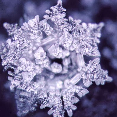 Jessica Horn Photo 18