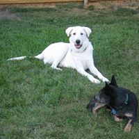 Matthew Devore Photo 23