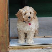 Megan Dunlap Photo 35