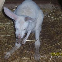 Dale Briggs Photo 16