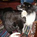 Christine Gatti Photo 14