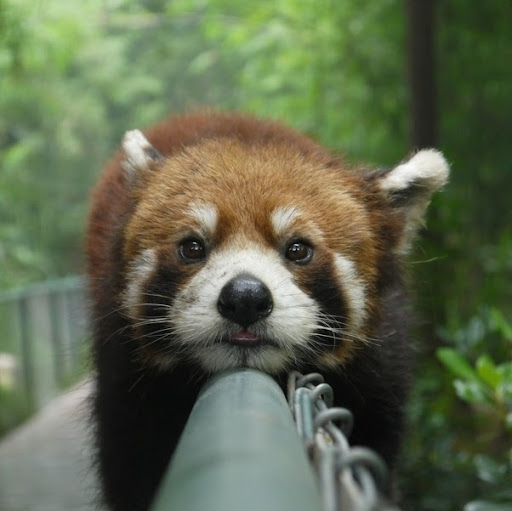 Rebecca Gale Photo 9