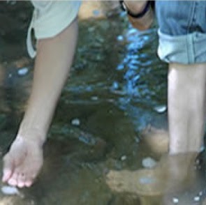 Janet Kauffman Photo 12