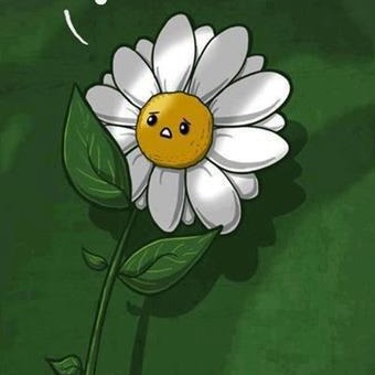 Leonel Silva Photo 38