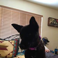 Debra Garrison Photo 2